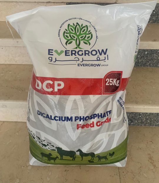 WhatsApp Image 2025-11-15 at 14.49.26_7e1c1922