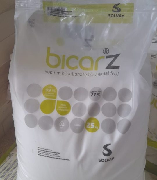 WhatsApp Image 2025-11-15 at 15.06.26_1be652fb