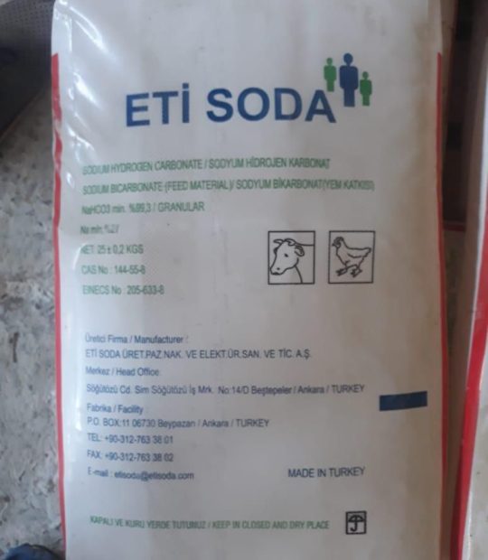 WhatsApp Image 2025-11-15 at 15.07.01_456e497a