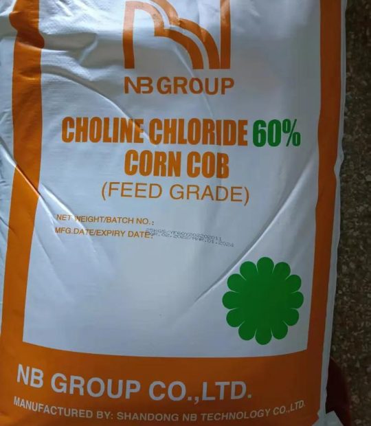 WhatsApp Image 2025-11-15 at 14.26.37_18017a5b