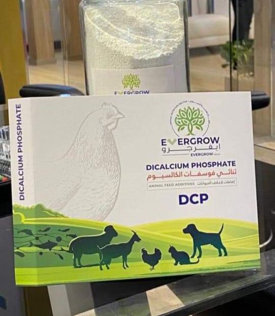 WhatsApp Image 2025-11-15 at 14.49.27_d7fb547e