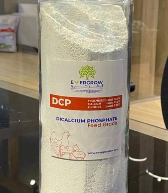 WhatsApp Image 2025-11-15 at 14.49.28_c7189036