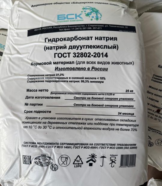 WhatsApp Image 2025-11-15 at 14.50.53_e1e20eff